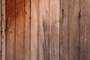 Holzbau